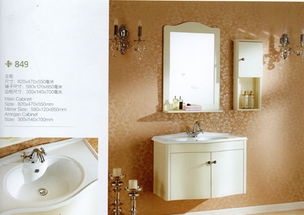 沈陽中德標(biāo)致衛(wèi)浴 專業(yè)衛(wèi)浴潔具批發(fā)與直銷的首選